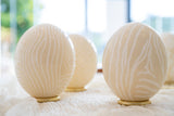 The Bold Zebra Carved Ostrich Egg Ornament from Leo & Stripes