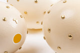 The Golden, Embellished Ostrich Egg, Leo & Stripes 