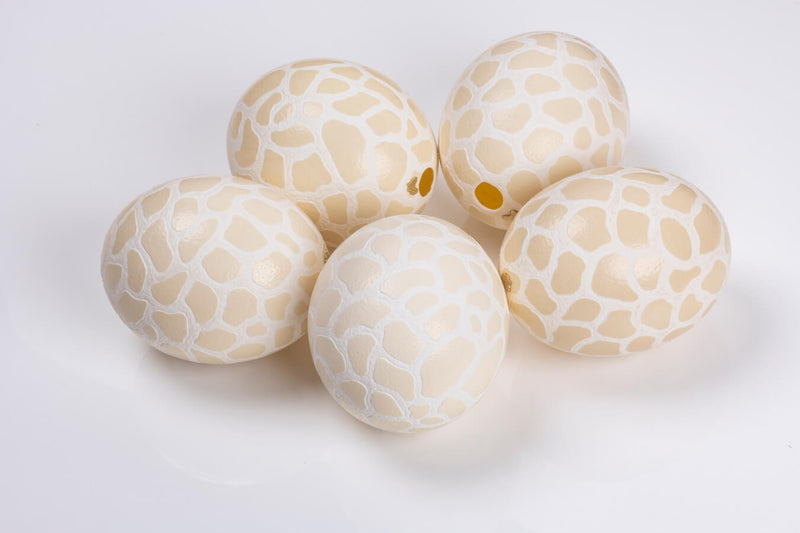 The Bold Giraffe Carved Ostrich Egg Ornament from Leo & Stripes