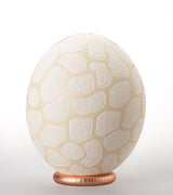 The Fine Giraffe Carved Ostrich Egg Ornament from Leo & Stripes