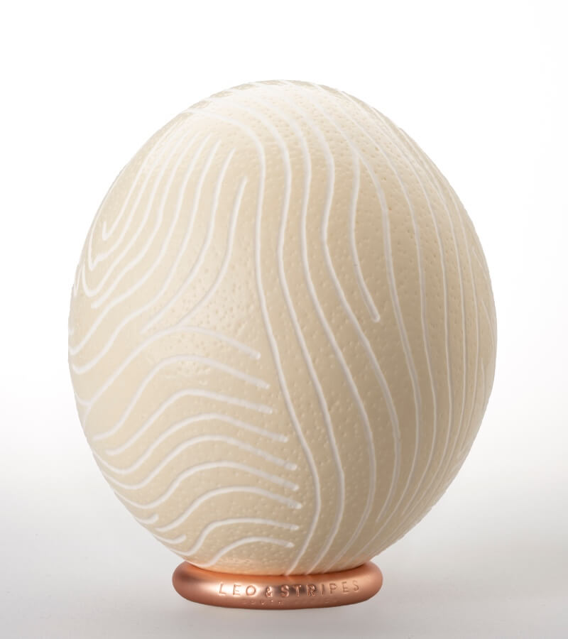 The Fine Zebra Carved Ostrich Egg Ornament from Leo & Stripes