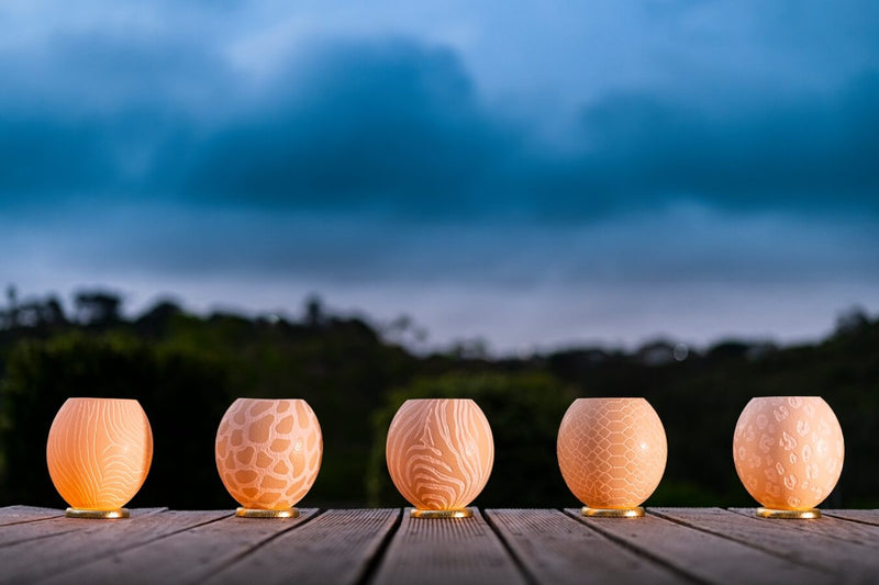 The Fine Zebra  Ostrich Egg Tealight Holder from Leo & Stripes