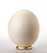 The Naked Ostrich Egg Ornament from Leo & Stripes