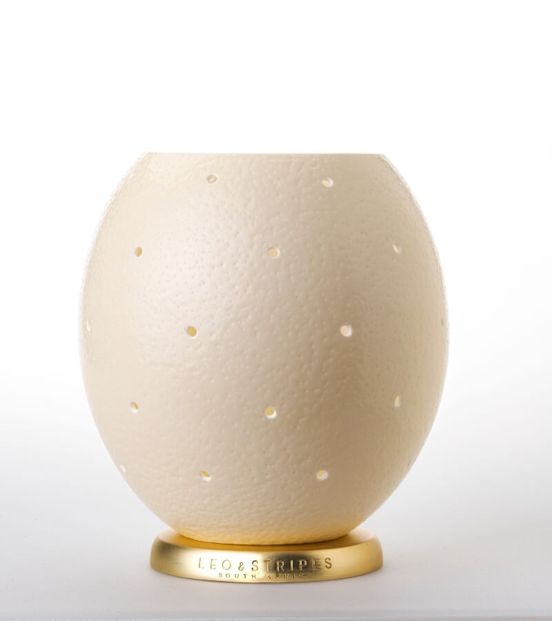 The Night Sky Ostrich Egg Tealight Holder from Leo & Stripes